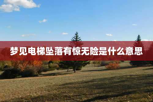 梦见电梯坠落有惊无险是什么意思