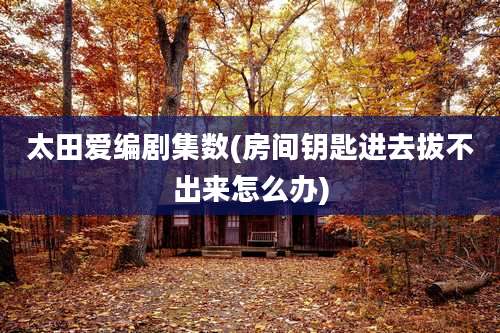 太田爱编剧集数(房间钥匙进去拔不出来怎么办)