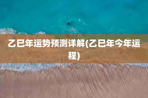 乙巳年运势预测详解(乙巳年今年运程)
