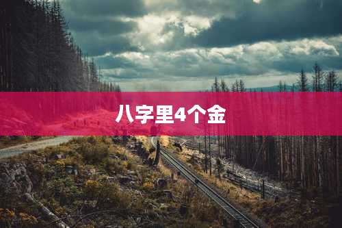 八字里4个金