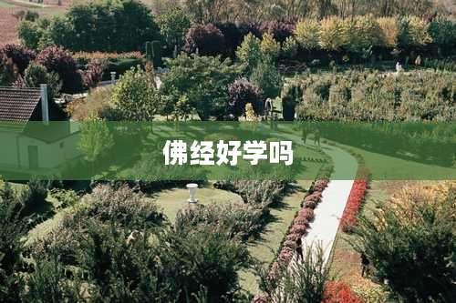 佛经好学吗