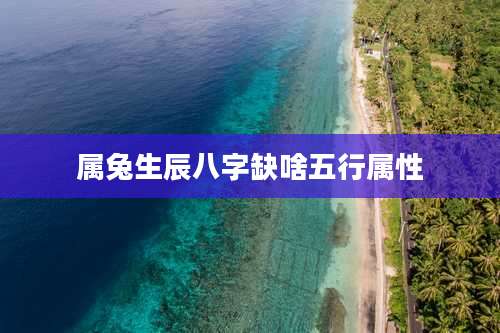 属兔生辰八字缺啥五行属性