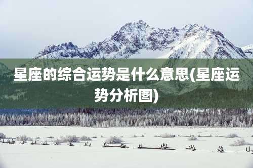 星座的综合运势是什么意思(星座运势分析图)
