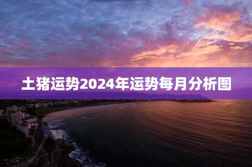 土猪运势2024年运势每月分析图