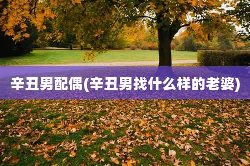 辛丑男配偶(辛丑男找什么样的老婆)