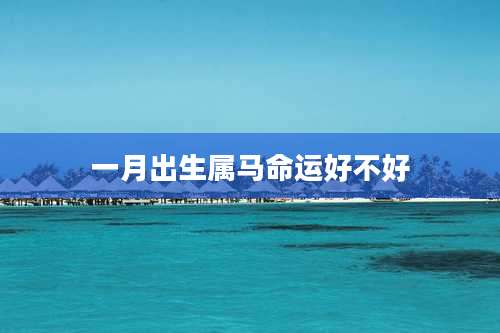 一月出生属马命运好不好