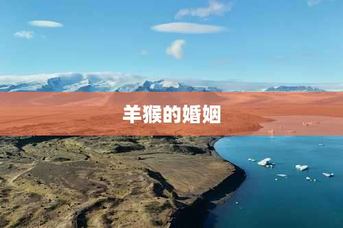 羊猴的婚姻