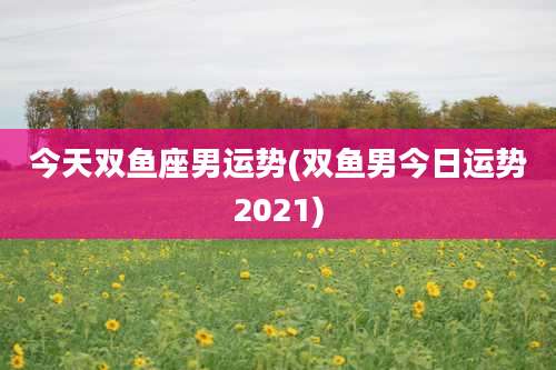 今天双鱼座男运势(双鱼男今日运势2021)