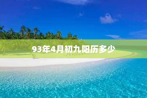 93年4月初九阳历多少