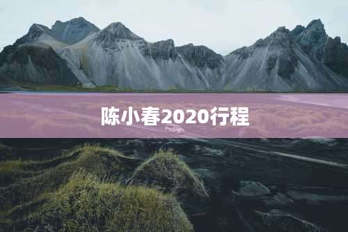 陈小春2020行程