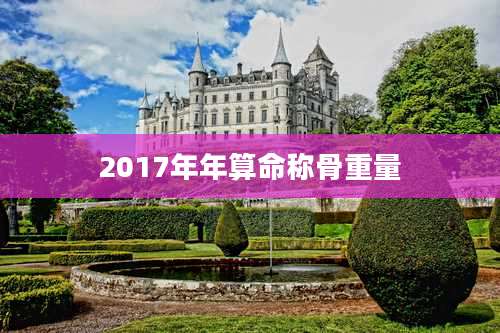 2017年年算命称骨重量