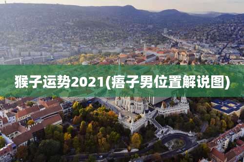 猴子运势2021(痦子男位置解说图)