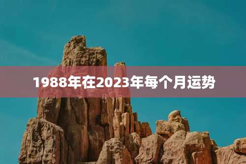 1988年在2023年每个月运势