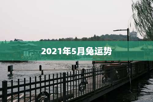 2021年5月兔运势