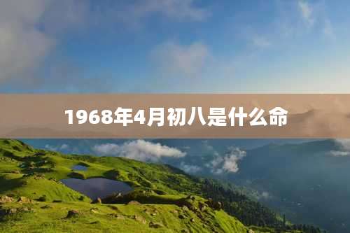 1968年4月初八是什么命