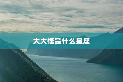大大怪是什么星座