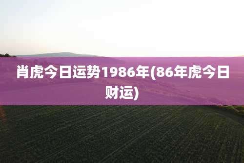 肖虎今日运势1986年(86年虎今日财运)