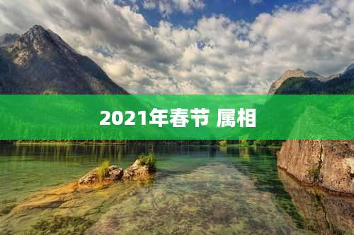 2021年春节 属相