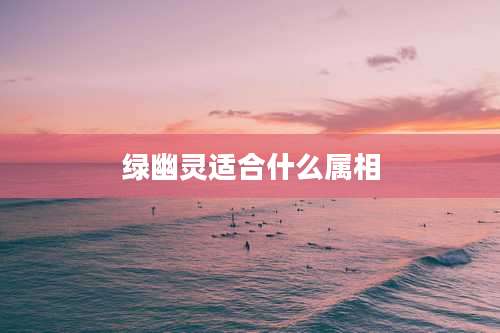 绿幽灵适合什么属相