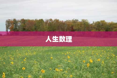 人生数理