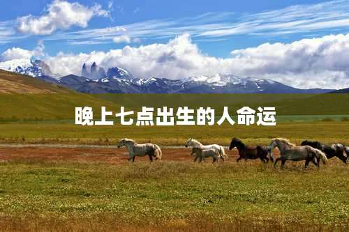 晚上七点出生的人命运