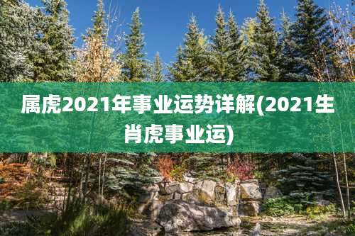 属虎2021年事业运势详解(2021生肖虎事业运)