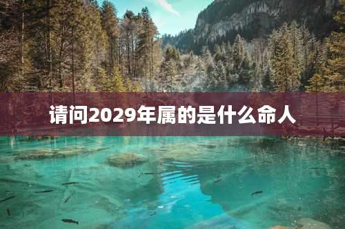 请问2029年属的是什么命人