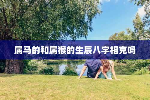 属马的和属猴的生辰八字相克吗