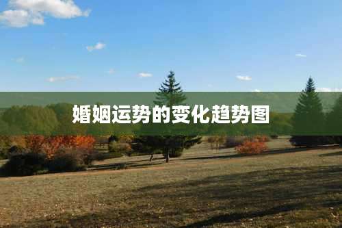 婚姻运势的变化趋势图
