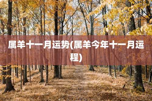 属羊十一月运势(属羊今年十一月运程)