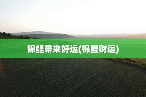 锦鲤带来好运(锦鲤财运)