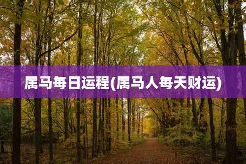 属马每日运程(属马人每天财运)
