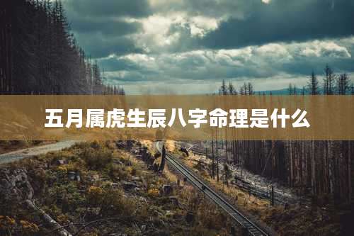 五月属虎生辰八字命理是什么