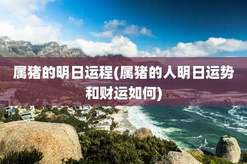 属猪的明日运程(属猪的人明日运势和财运如何)