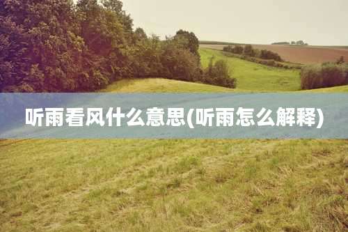 听雨看风什么意思(听雨怎么解释)