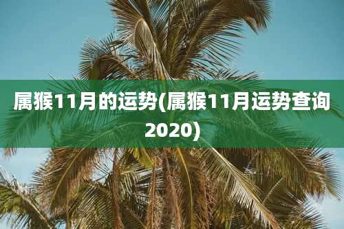 属猴11月的运势(属猴11月运势查询2020)