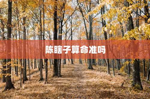 陈瞎子算命准吗