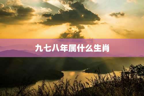 九七八年属什么生肖