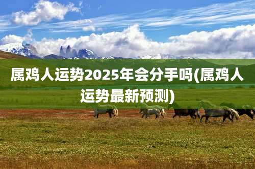 属鸡人运势2025年会分手吗(属鸡人运势最新预测)