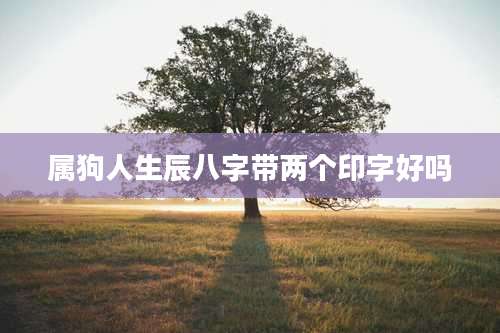 属狗人生辰八字带两个印字好吗