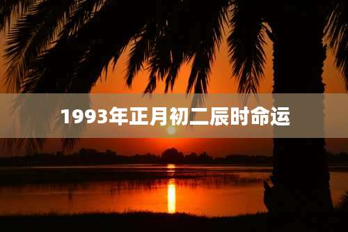 1993年正月初二辰时命运