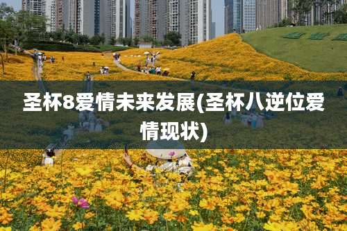 圣杯8爱情未来发展(圣杯八逆位爱情现状)