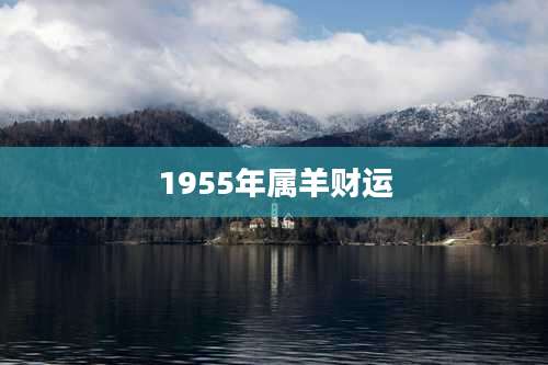 1955年属羊财运