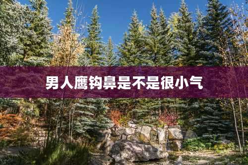 男人鹰钩鼻是不是很小气