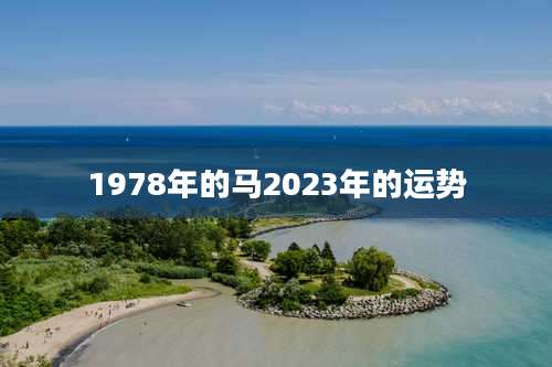 1978年的马2023年的运势
