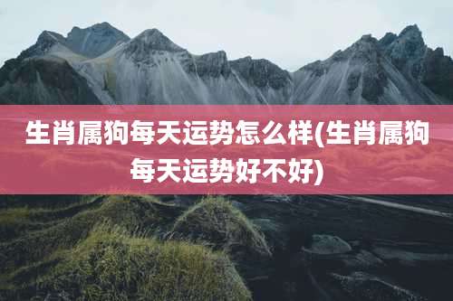 生肖属狗每天运势怎么样(生肖属狗每天运势好不好)