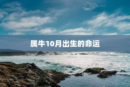 属牛10月出生的命运