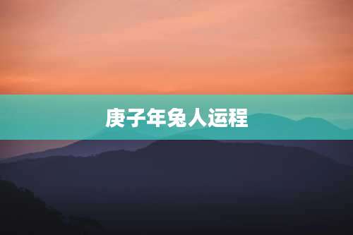 庚子年兔人运程