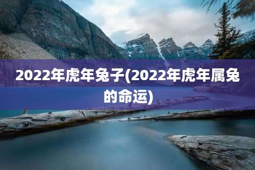 2022年虎年兔子(2022年虎年属兔的命运)