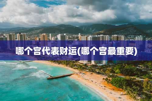 哪个宫代表财运(哪个宫最重要)